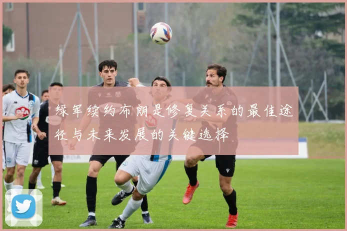 绿军续约布朗是修复关系的最佳途径与未来发展的关键选择