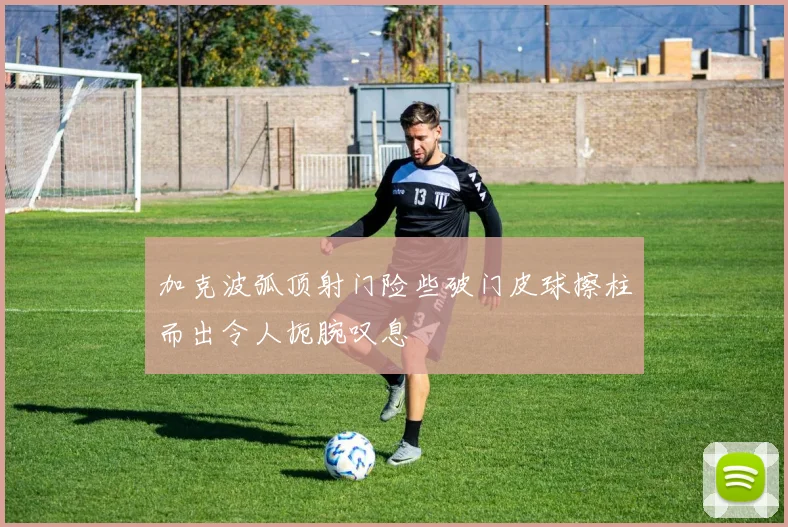 加克波弧顶射门险些破门皮球擦柱而出令人扼腕叹息